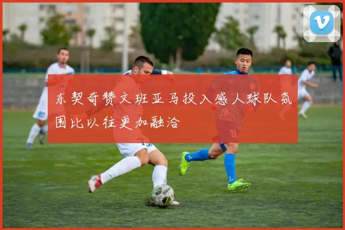 东契奇赞文班亚马投入感人球队氛围比以往更加融洽
