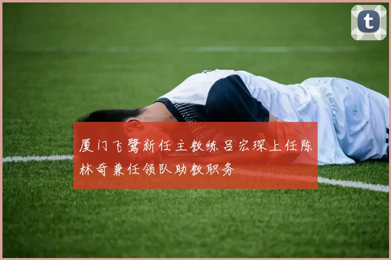 厦门飞鹭新任主教练吕宏琛上任陈林奇兼任领队助教职务